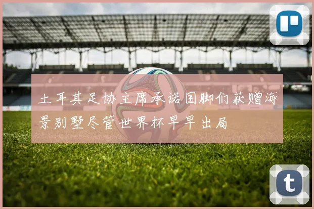 土耳其足协主席承诺国脚们获赠海景别墅尽管世界杯早早出局